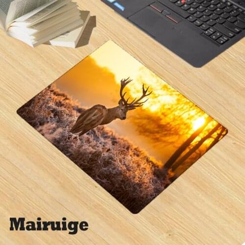 Mairuige Cute Animal Pictures PC Gaming Kawaii Small Mouse Pad Rubber Waterproof Non-slip Carpet Surface Keyboard Desk Mat