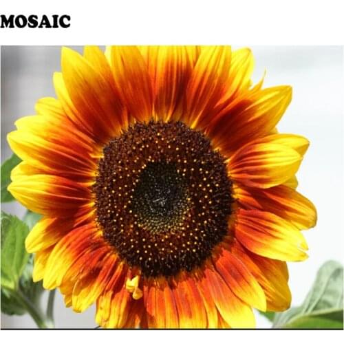 Diamond painting volledig zonnebloem sunflower new Year presents full square Diamond embroidery rhinestones pictures beadwork