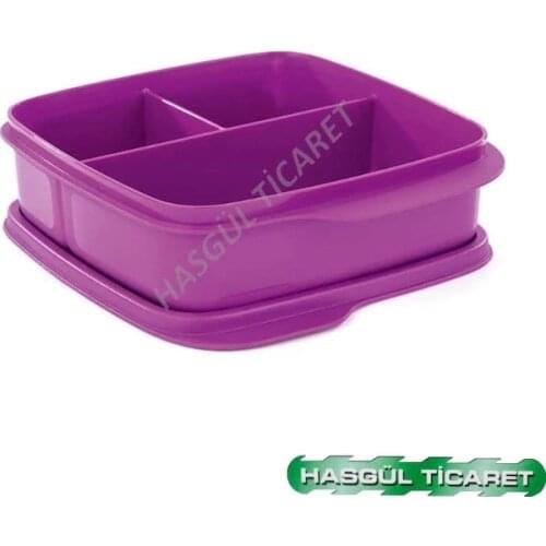 Tupperware PARTITIONED NUTRITION BOX (PURPLE) HSGL 394121388