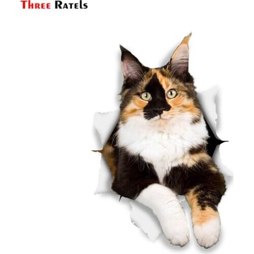 Three Ratels FC61 3D Cat Stickers Calico Decal for Car Truck Windshield Door Wall Refrigerator Window Toilet Ipad Laptop Home