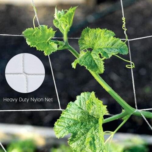 Useful Climbing Net High Elasticity Good Stretching Plant Force Polyester Climbing Plants Garden Trellis Netting for Outdoor