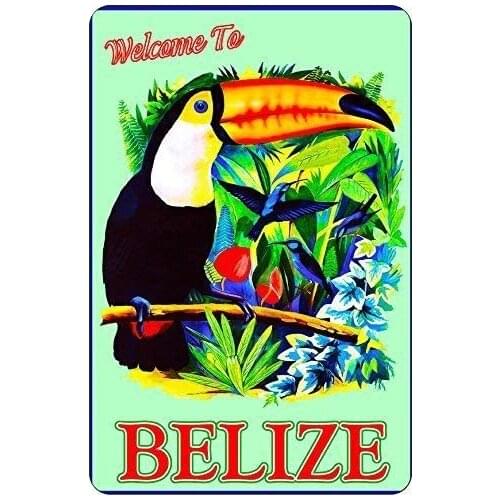 Dark Branches Belize Toucan Bird Central America Caribbean Sea Vintage Metal Plaque Advertisement