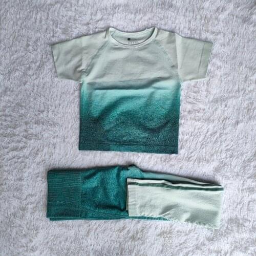 Summer Women Yoga Sport Suit Gym Set Crop Top Short Sleeve Running Workout Clothes Seamless Leggings Sportswear 2 Piece