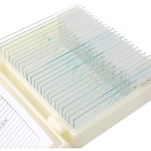 25PCS/Set Biological Glass Sample Prepared Basic Animal Plants Insects Tissues Science Speci-men Cover Slips Microscope Slides