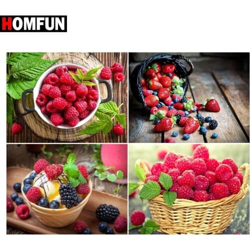 HOMFUN Diamond Painting Full Square/Round Diamond "Cranberry fruit " Pattern Embroidery Cross Stitch 5D Rhinestone Painting
