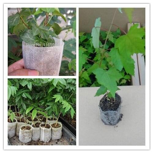 Wholesale Nursery Pots Seedling-Raising Bags fabrics Garden Supplies Environmental Protection Full 10*12 Size 1000pieces