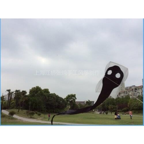 Ripstop nylon fabric toy kite flying cometa vlieger cometas para adultos kites for adults eagle windsock bird pipas esportivas