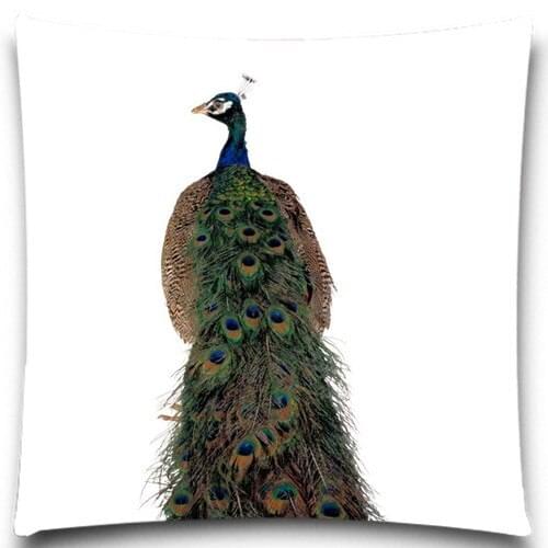 Beautiful peacock Cotton Polyester square 5 size 9 style Pillows Case for Sofa Car Cushion Cover Creative Decoration