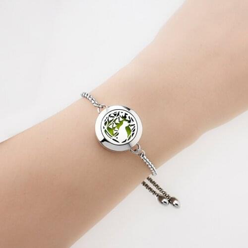 Adjustable Stainless Steel Chain Diffuser Bracelet 20mmTwist Screw Perfume Essential Oil Aroma Locket Free 10pad Kids Women Gift