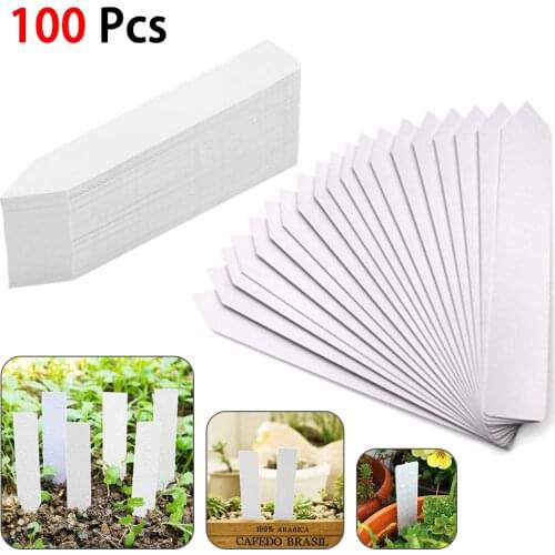100 Pcs Horticultural Label Insertion Board Plastic 10cm x 2cm Greenhouse Flowerpot Sorting Tools Gardening Supplies