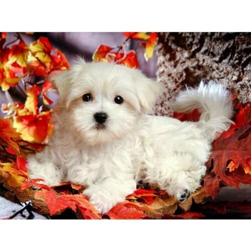 Full Square/round Drill 5D DIY Diamond Painting "animal dog" handmade 3D Embroidery set Cross Stitch Mosaic Decor gift WG059