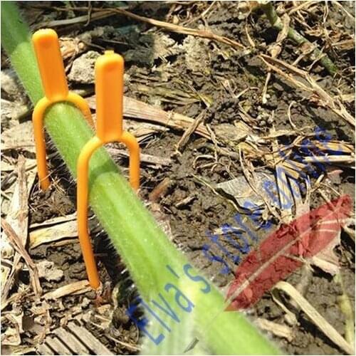 100pcs Plastic Branches Fork Clip Plant Vines Fastener Stolons Strawberry Pumpkin Wax gourd Water Melon Vegetable Farming Clip