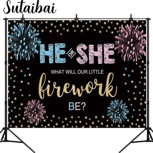 Gender Reveal Backdrop He or She Party Fourth of July Blue or Pink Boy or Girl Banner Decoration Stars Photography Background