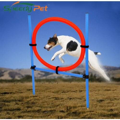 Speedy pet Dog Toys Training Supplies Dog Jumping Teaching Products for Animals Blue Red Round Toys Pet Training Free Shipping