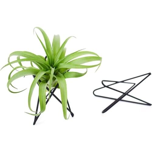 Air Pineapple Soilless Plants Creative Home Iron Indoor Black And White Bracket Desktop Purification Green Potted Flower Rack