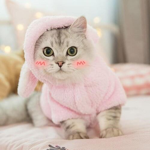 Halloween Puppy Cat Plush Hoodie Cartoon Pattern Pet Winter Outfit Costumes Pet Products Cat Supplies Hoodies