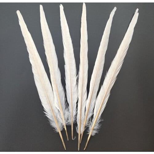 Wholesale 500 Pcs Beautiful Beige Natural Pheasants Feathers 10-12inches/25-30cm Craft Making Decoration Clothing Accessories