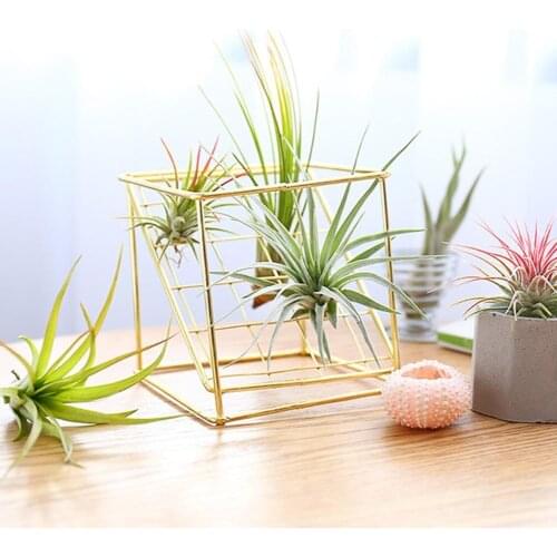 Rustic Delicate Iron Freestanding Hanging Rack Holder Double-layer Geometrical Square Grid Air Plant Receptacle Flower Stand
