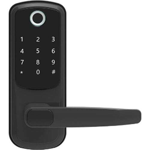 WAFU Tuya Fingerprint Smart Lock TTLOCK Temporary Password Lock Wifi Electronic Swipe Smart Spherical Lock