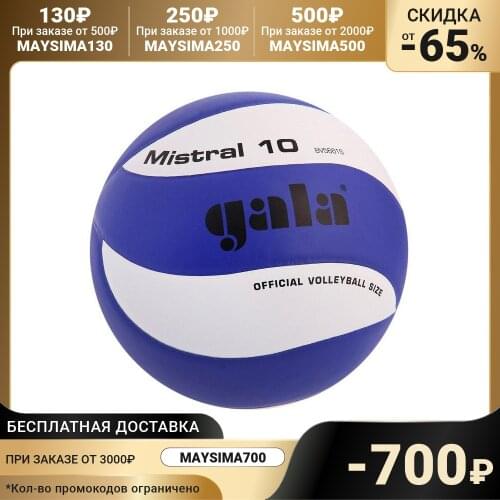 Gala Volleyball Equipment