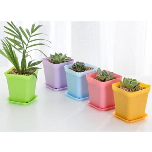 Square Plastic Flower Succulent Plant Pot Planting Holder Flowerpot with Tray