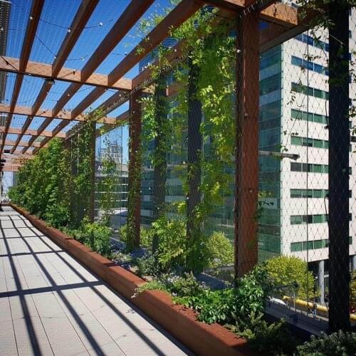 Stainless steel cable mesh products as architectural surface plant climbing net