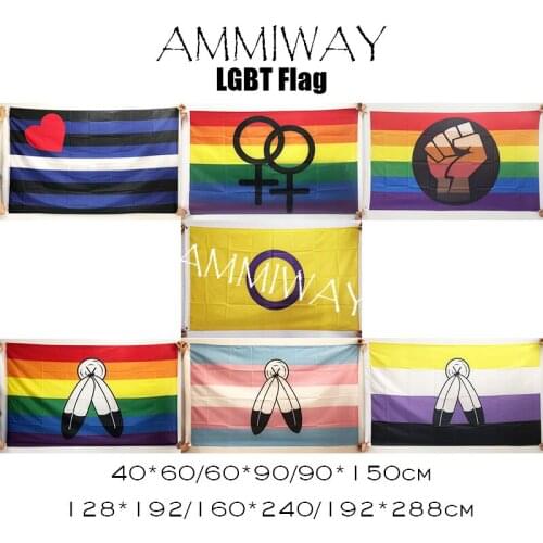 AMMIWAY BDSM SM Leather Sub Gay Pride Female Peace Intersex Two-Spirit Transgender Non Binary LGBT Pride Flags and Banners