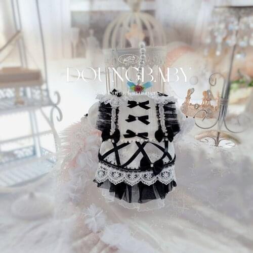 Handmade Dog Wedding Dress Adorable Princess Dog skirt with Lace and Embroidery Lolita Clothes Embroidery Comsumers Teddy 2021