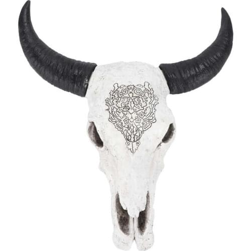 Animal Skull Decor Sturdy Longhorn Wall Decor with Horns for Wall Art
