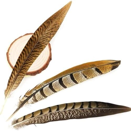 20/100Pcs Wedding Party Feathers Plume Crafts Ostrich Peacock Feathers DIY Natural White Pheasant Feathers Small Hair Decoration