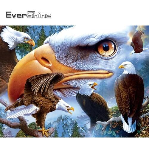 EverShine Diamond Embroidery Animal Full Square Diamond Painting Eagle Picture Of Rhinestones Mosaic Cross Stitch Handmade Gift