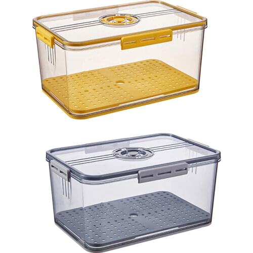 Kitchen Refrigerator Storage Box Food Grade PET Plastic Timekeeping Frozen Keep-Fresh Organizer Holder with Drain Tray Container