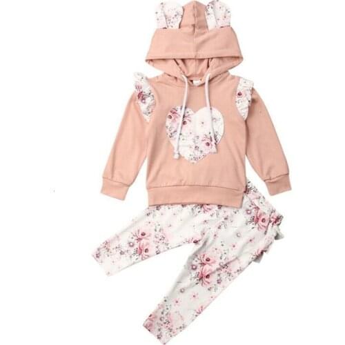 Baby Girl Tracksuit Hooded Sweatshirt Top Pants Trousers Outfit Clothes Sets