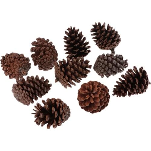 10Pcs Large Natural Dried Pine Cones Crafts for Home Wedding Party Decor