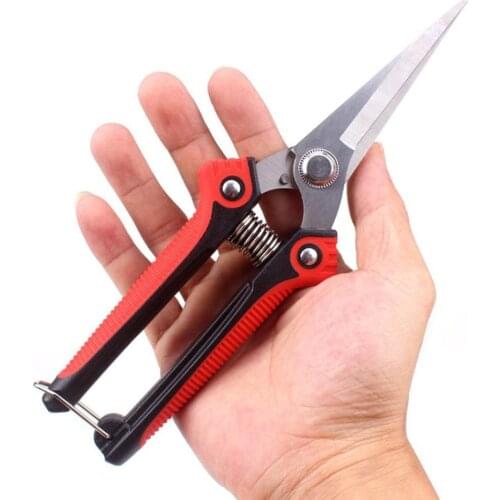 Pruner Vineyard Scissors Pruning Scissors garden tools grafting knife Work with chainsaw shovel outils de jardinage bonsai tools