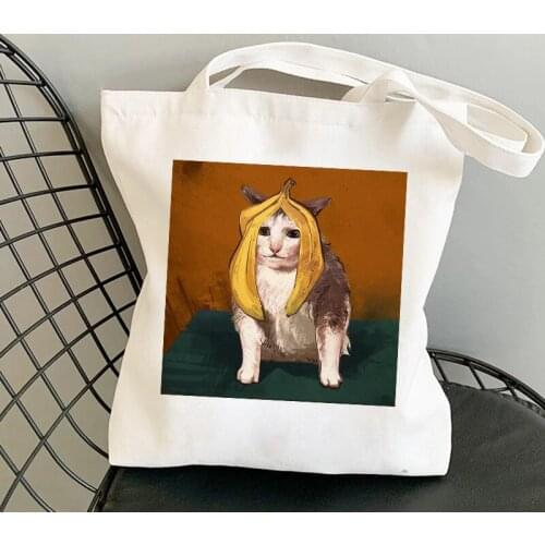 Women Canvas Tote Bag Reuse Foldable with Zipper Closure Fashion Animal Cartoon Dinosaur Print Shopping Bag Unisex Shoulder Bag