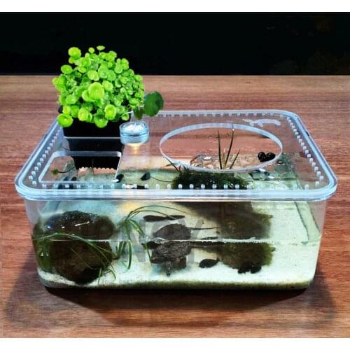 HONGYI 1 piece plastic transparent insect reptile breeding feeding box large capacity aquarium habitat tub turtle tank platform