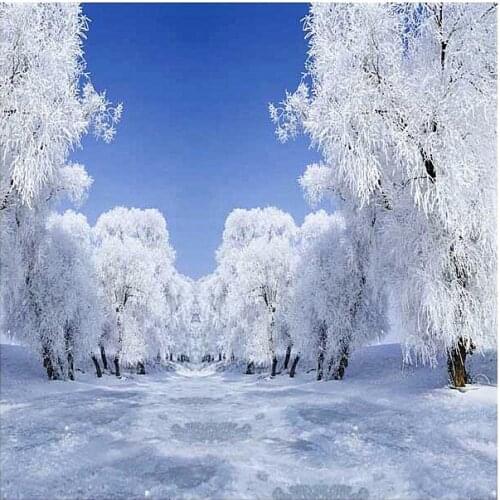 5x7 Christmas Photography Background Newborn White Snow Ice Blue Red Star Backdrop for Xmas Party Family Photo Booth Props