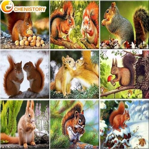 CHENISTORY Oil Picture By Numbers Squirrel On Canvas Animal Frame Paint By Number Diy Craft Kit For Adults Home Decor Wall Art