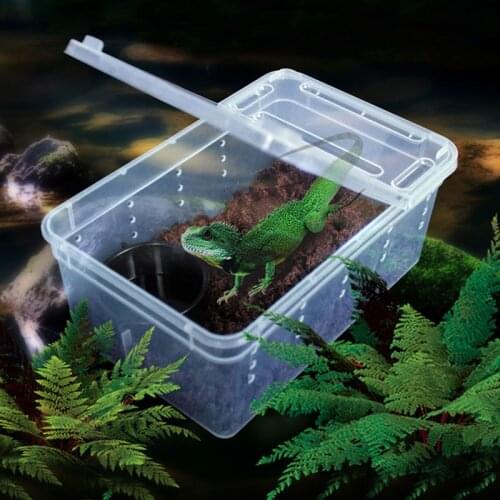 New Transparent Plastic Box Insect Reptile Transport Breeding Live Food Feeding Box