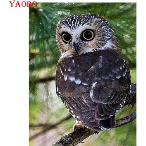 Square round Diamond,5D DIY Diamond Painting animal owl Diamond Embroidery full display Cross Stitch kits,Mosaic puzzle picture