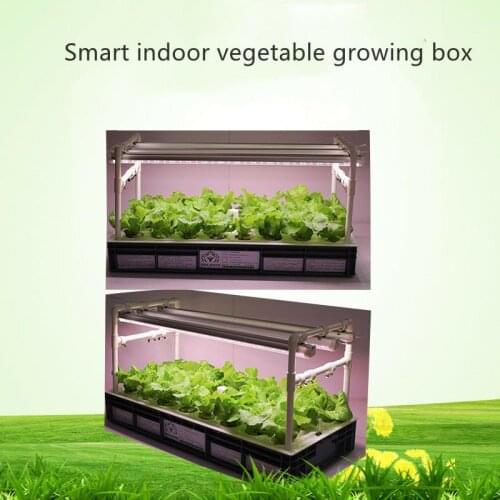 Agricultural Greenhouse Plastic mixer vegetable and fruit purifier cutter fruit&vegetable display vegetable steamer