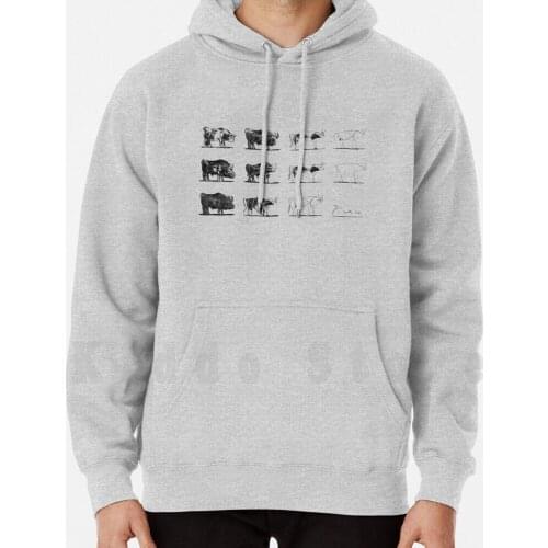 Picasso Bulls hoodies long sleeve Pablo Picasso Picasso Paintings Picasso Art Picasso Painting Picasso Genius