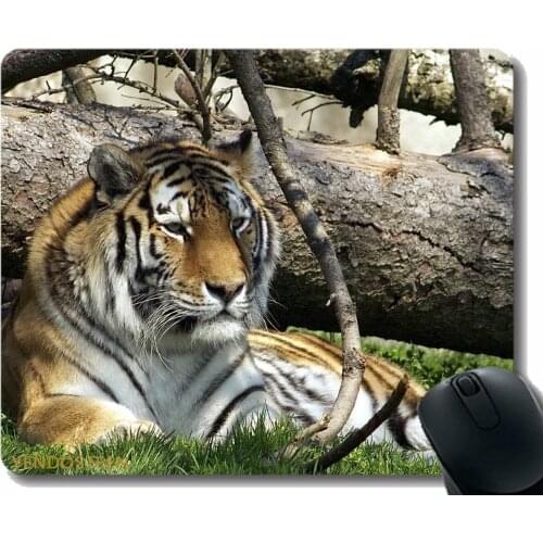 Mouse Pad Anti-Slip,Tiger Predator Big Cat Grass Lie 51210 Non-Slip Rubber Base Mousepad