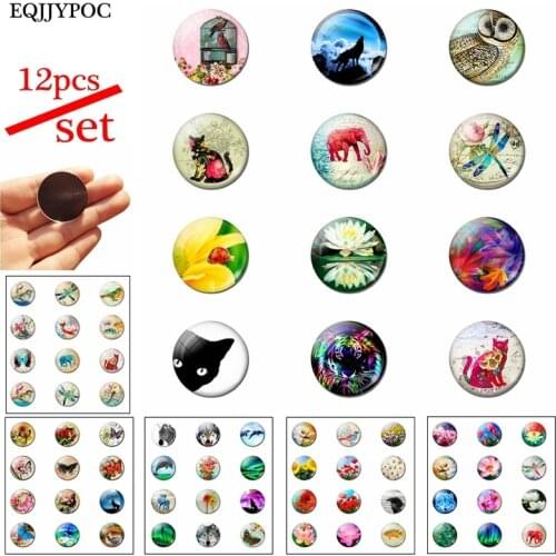 12pcs Animal and Fllower 25MM Fridge Magnet Glass Note Holder Decoration Refrigerator Magnetic Sticker Home Decor Cute Kids Gift