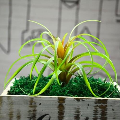 Artificial Plant Fake Plastic Green Hanging plants Landscape Decorative Flower grass Home Decoration