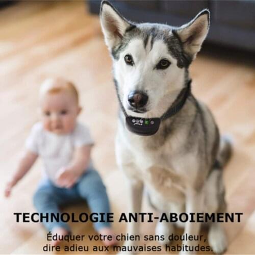 Intelligent Dog Anti-Bark Advanced Collar Ultrasonic Rechargeable Training Waterproof Vibration Stop Barking Control No Shock