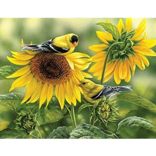 Painting By Number Digital 50x65CM Sunflower Bird Flower Wall Art Gift DIY Pictures By Numbers Canvas Kits Home Decoration
