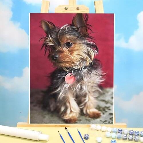 Animal Yorkshire Terrier Coloring By Numbers Painting Package Oil Paints 50*70 Canvas Painting Home Decoration For Handicraft
