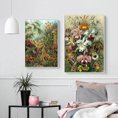 Ernst Haeckel Flowers Poster Collage Botanical Print Decorative Print Wall Painting Scandinavian Decoration Picture Home Decor